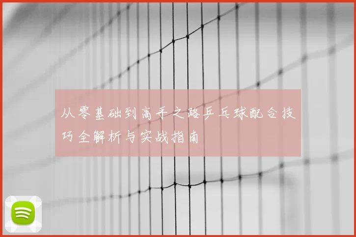 从零基础到高手之路乒乓球配合技巧全解析与实战指南