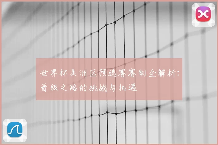 世界杯美洲区预选赛赛制全解析：晋级之路的挑战与机遇