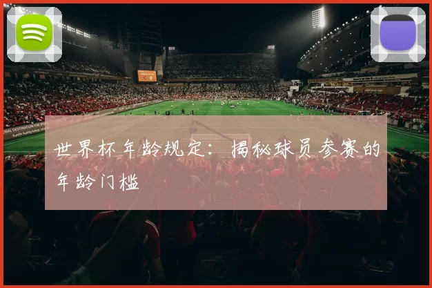 世界杯年龄规定：揭秘球员参赛的年龄门槛