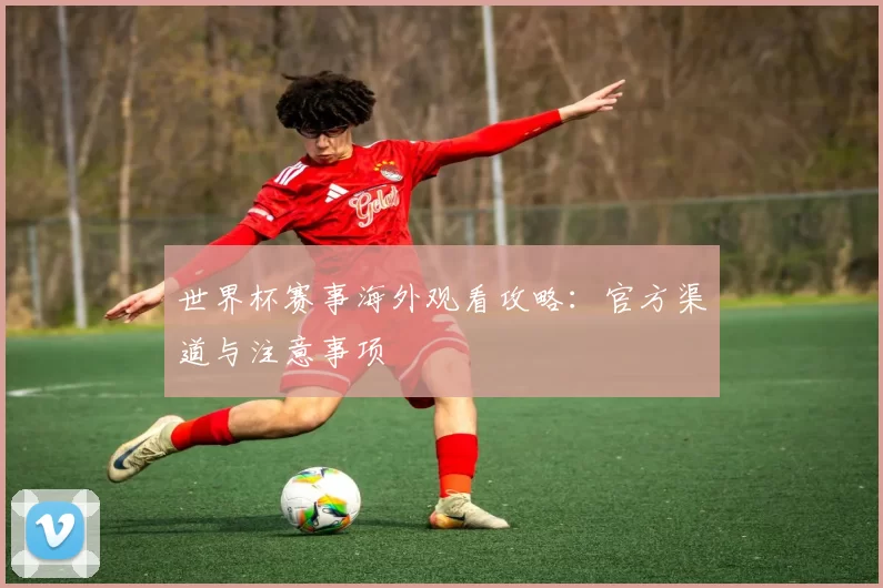 世界杯赛事海外观看攻略：官方渠道与注意事项