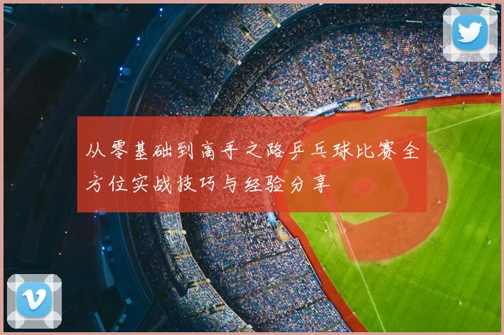从零基础到高手之路乒乓球比赛全方位实战技巧与经验分享
