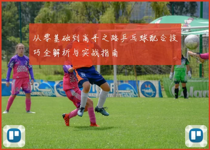 从零基础到高手之路乒乓球配合技巧全解析与实战指南