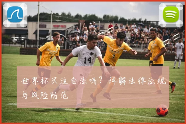 世界杯买注合法吗？详解法律法规与风险防范
