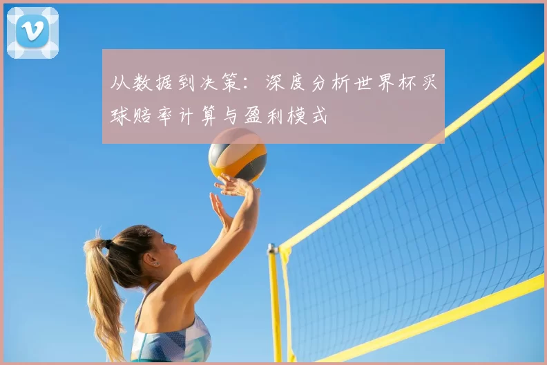 从数据到决策：深度分析世界杯买球赔率计算与盈利模式