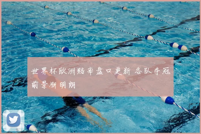 世界杯欧洲赔率盘口更新 各队夺冠前景渐明朗
