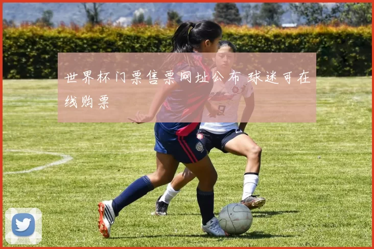 世界杯门票售票网址公布 球迷可在线购票